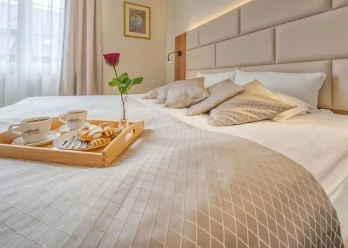 Wellness & Nowy Dwor ホテル